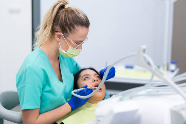 Best Emergency Treatment for Dental Infections or Abscesses in Horse Pasture, VA